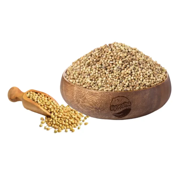 تخم گشنیز